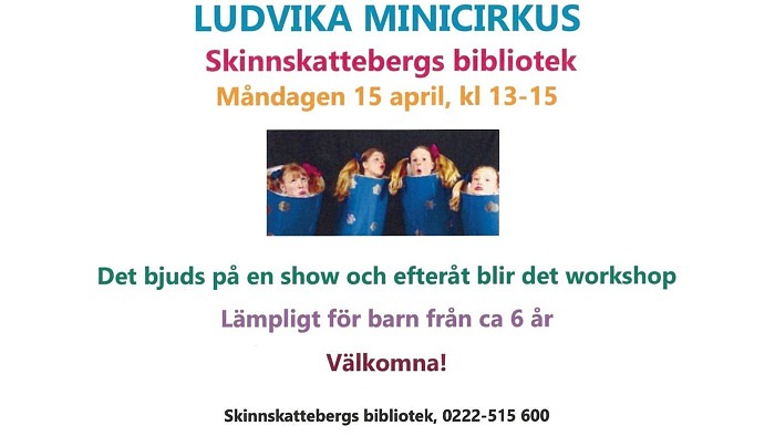 Ludvika Minicirkus,  Skinnskattebergs bibliotek