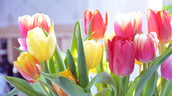 Blomskottsauktion, heds vävstuga i Hed