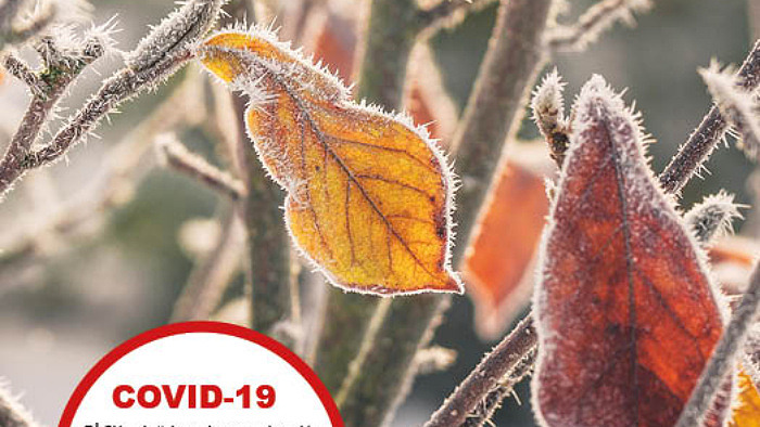 Novembernumret av 0222:an