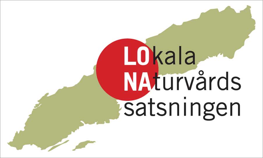 Lona Logo