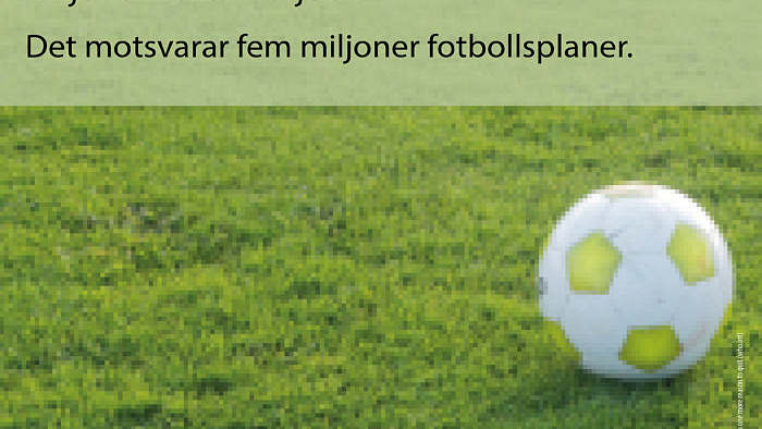 Tobaksfria dagen
