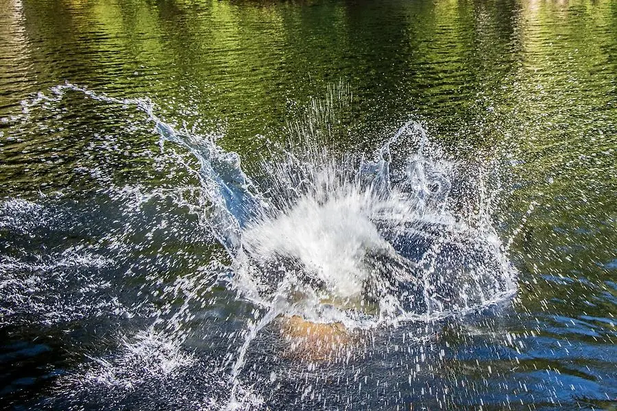 Nu går det att bada i Sandviksbadet igen – avrådan tas bort