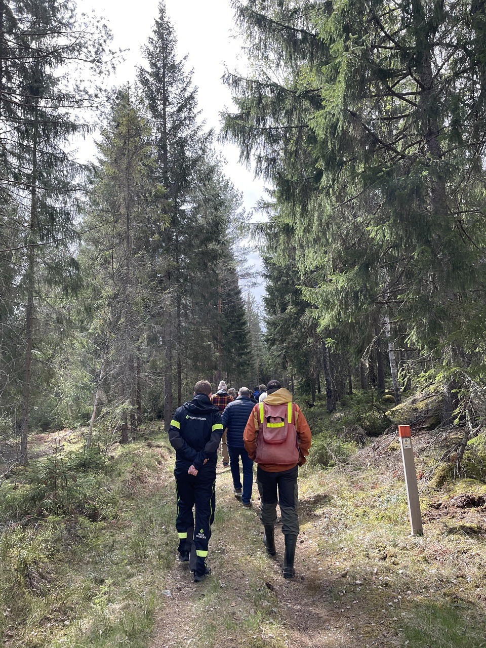 Deltagarna på exkursion och vandring på leden.