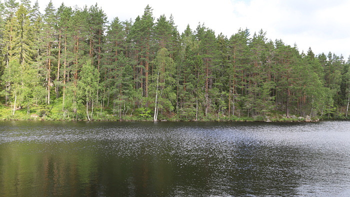 Kalkning av sjöar 10–11 juni