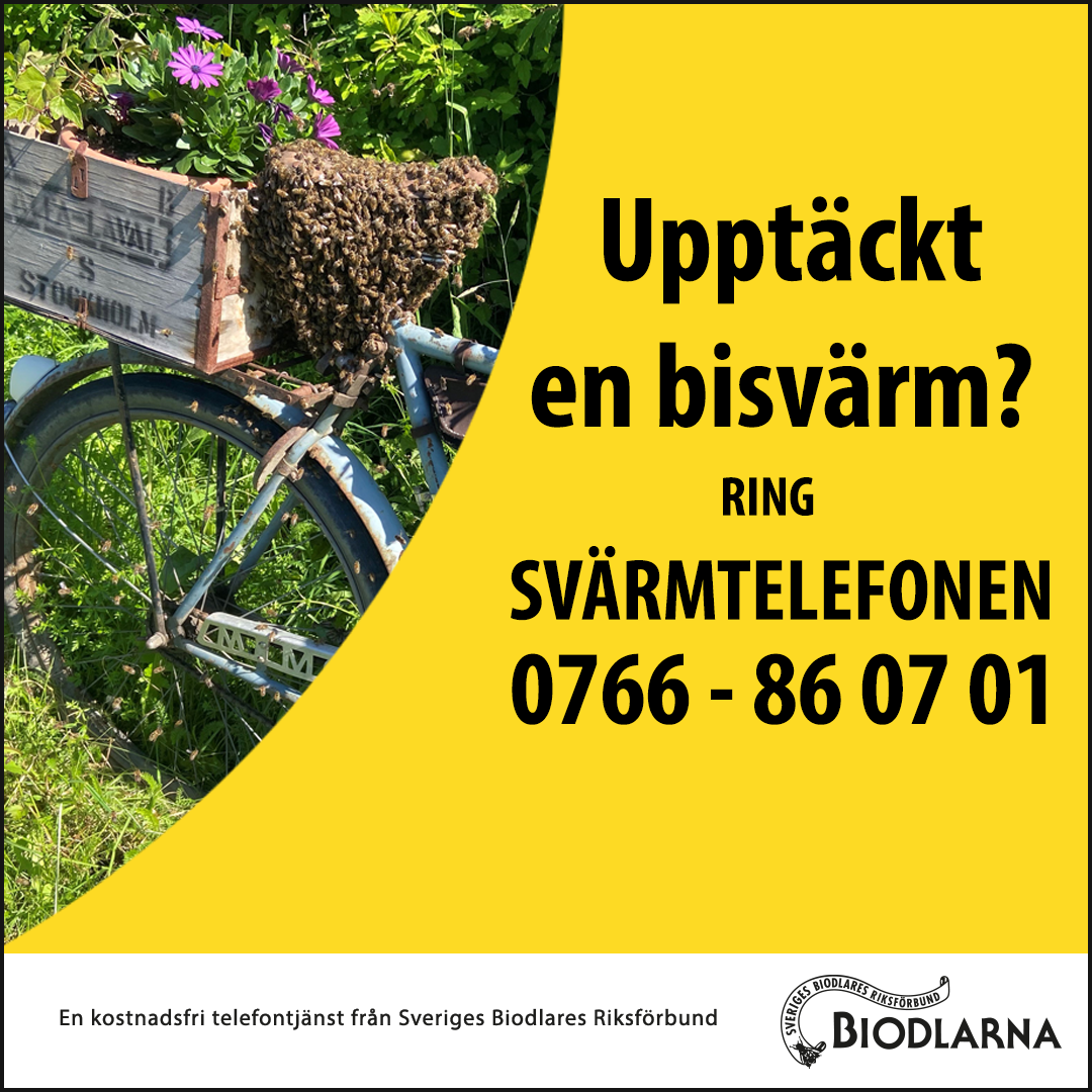 Cykel, bisvärm, blommor, träkorg, gräs och texten: Upptäckt en bisvärm? Ring svärmtelefonen.